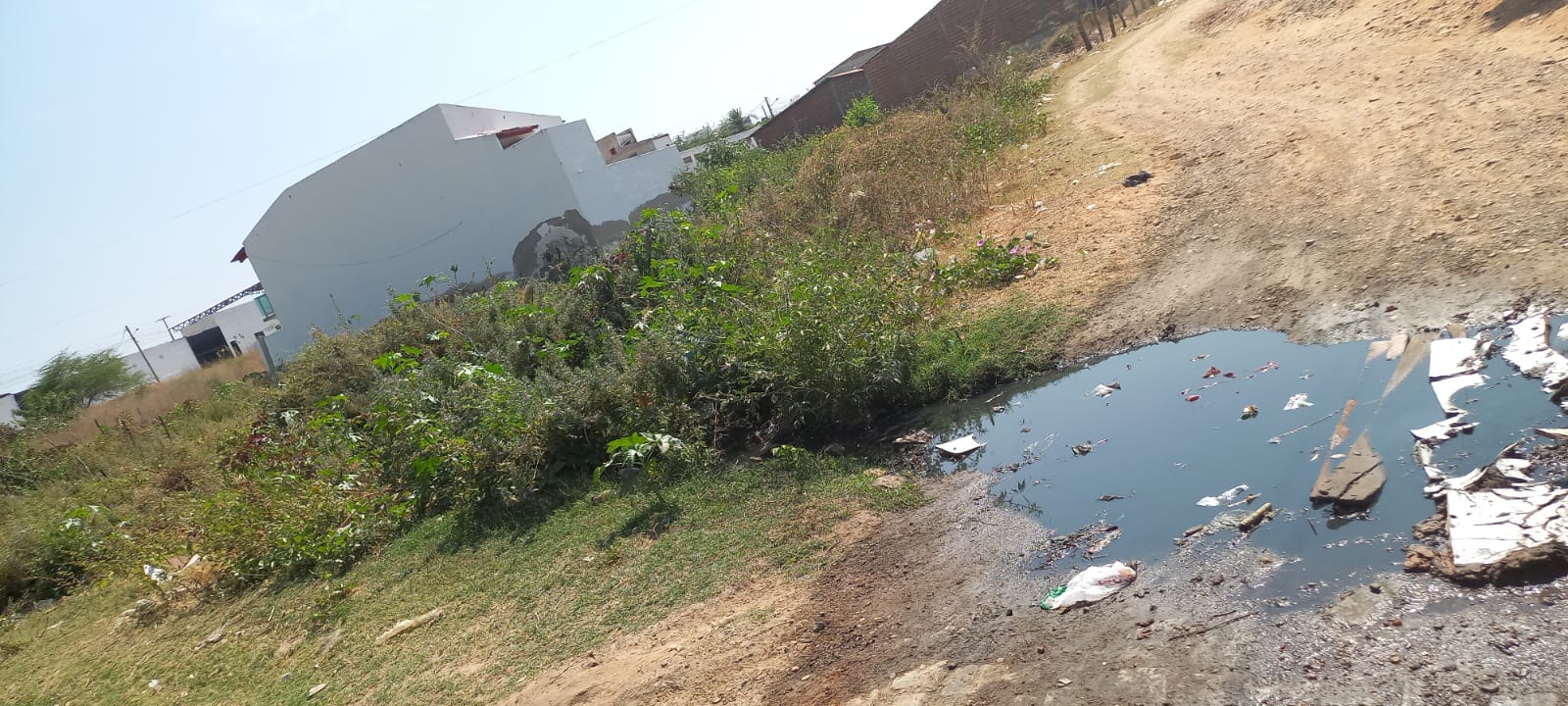 Moradora do bairro Geralda Medeiros cobra solução para esgoto estourado há anos na localidade; setor responsável diz que está no cronograma