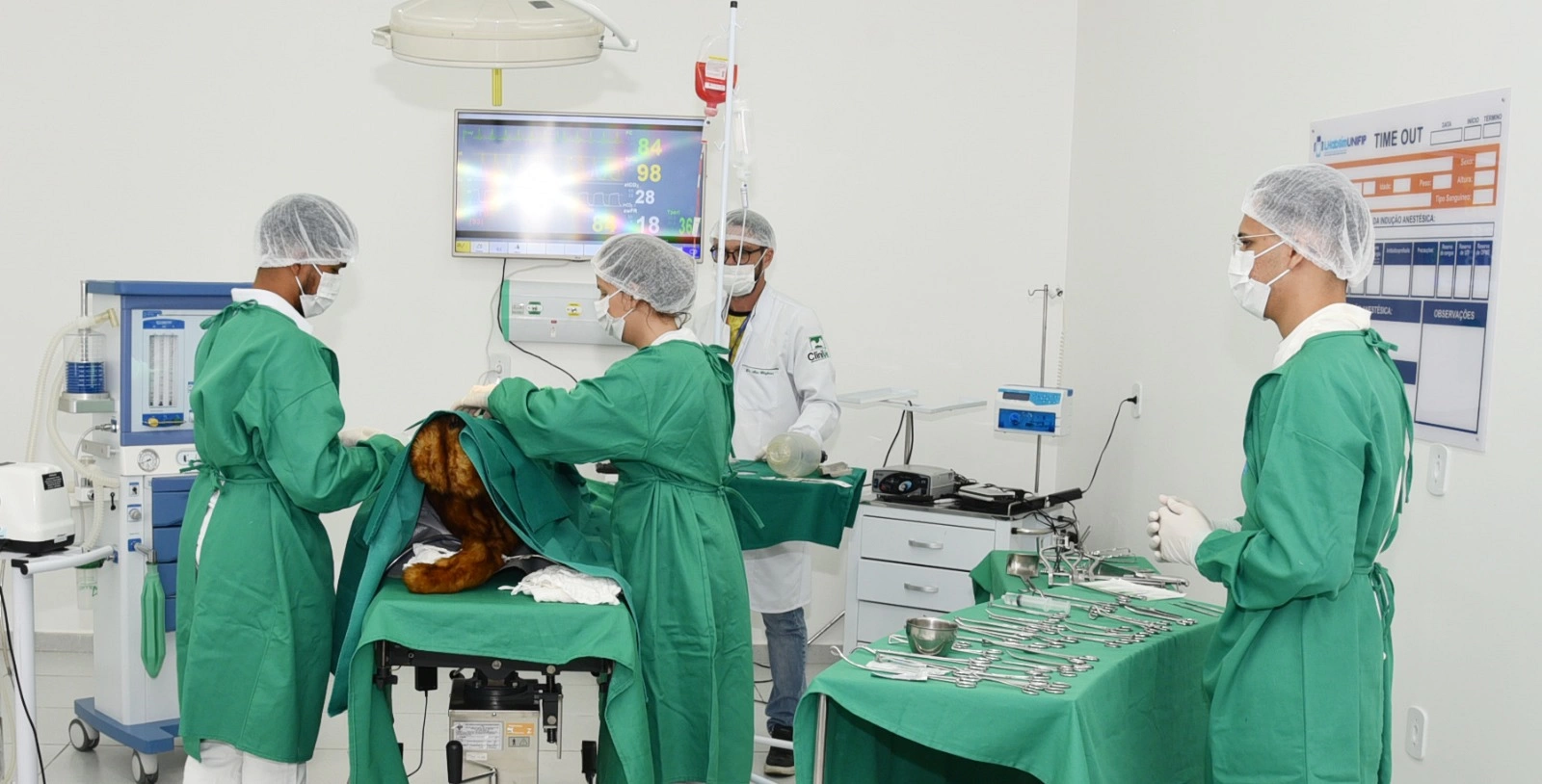 HVET: A excelência em cuidados de saúde animal oferece novos serviços