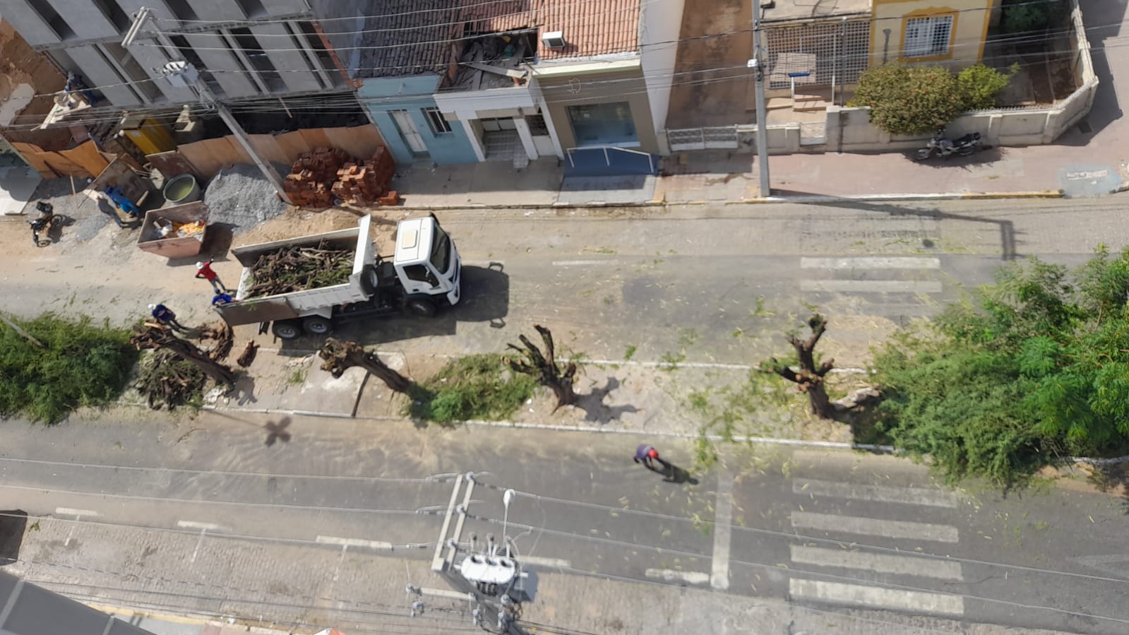 Populares questionam retiradas de árvores no Centro de Patos; secretária de Meio Ambiente esclarece e diz que estruturas estavam comprometidas