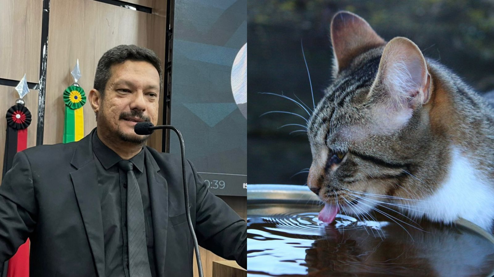 Vereador Sargento Patrian pede à população patoense que disponibilize água para os animais de rua durante picos de alta temperatura