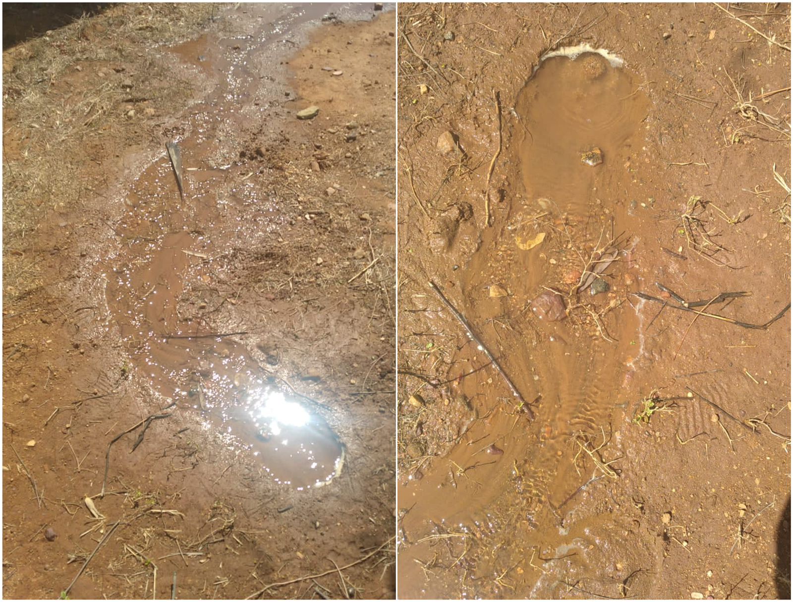 Internauta denuncia vazamento e falta de água em residências no destrito de Santa Gertrudes; Cagepa informa que irá solucionar o problema