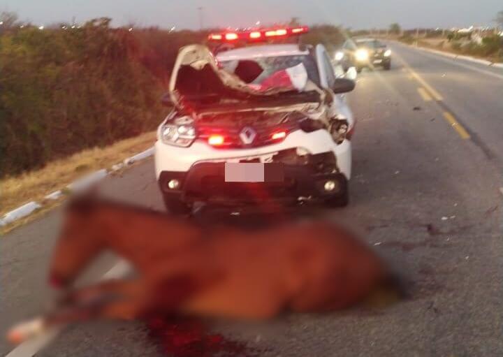 Inspetor da PRF dá detalhes de colisão entre viatura da PM e cavalo, na BR-230, em São Mamede. OUÇA