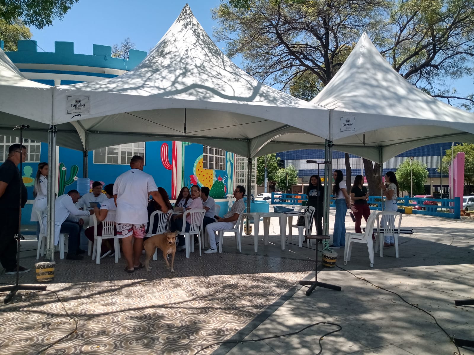 Dia Nacional do Animal tem programação realizada nesta quarta-feira (04), em Patos; veja vídeo