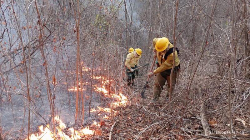 Força-tarefa controla principais focos do incêndio na Serra da Santa Catarina