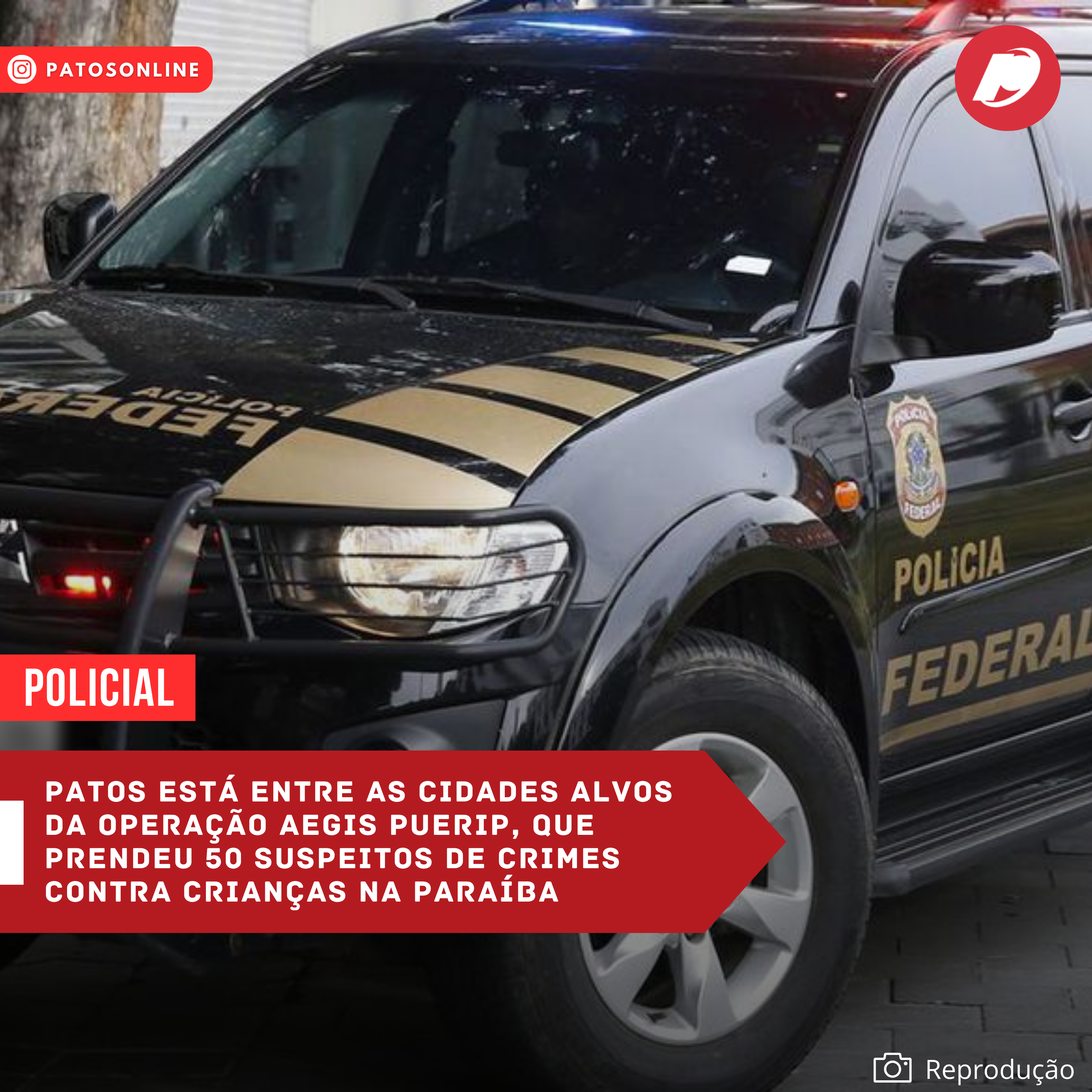 Polícia Militar apreende drogas e aves silvestres, e prende duas pessoas, em Malta