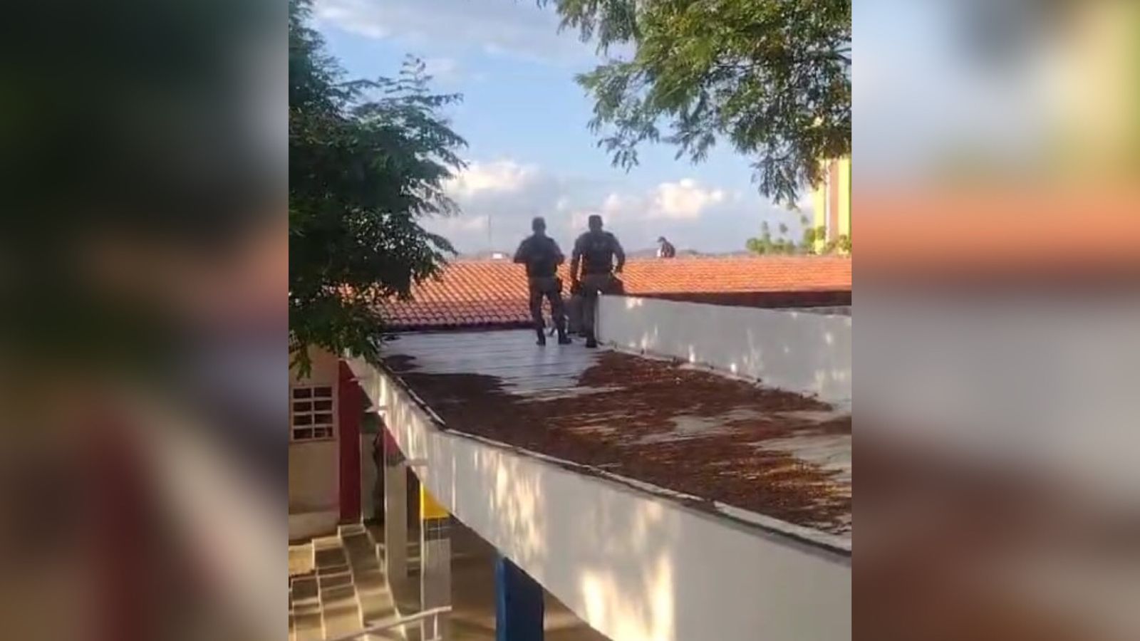 Em ato de bravura, policiais militares evitam tragédia e salvam vida de vigilante de escola, em Patos