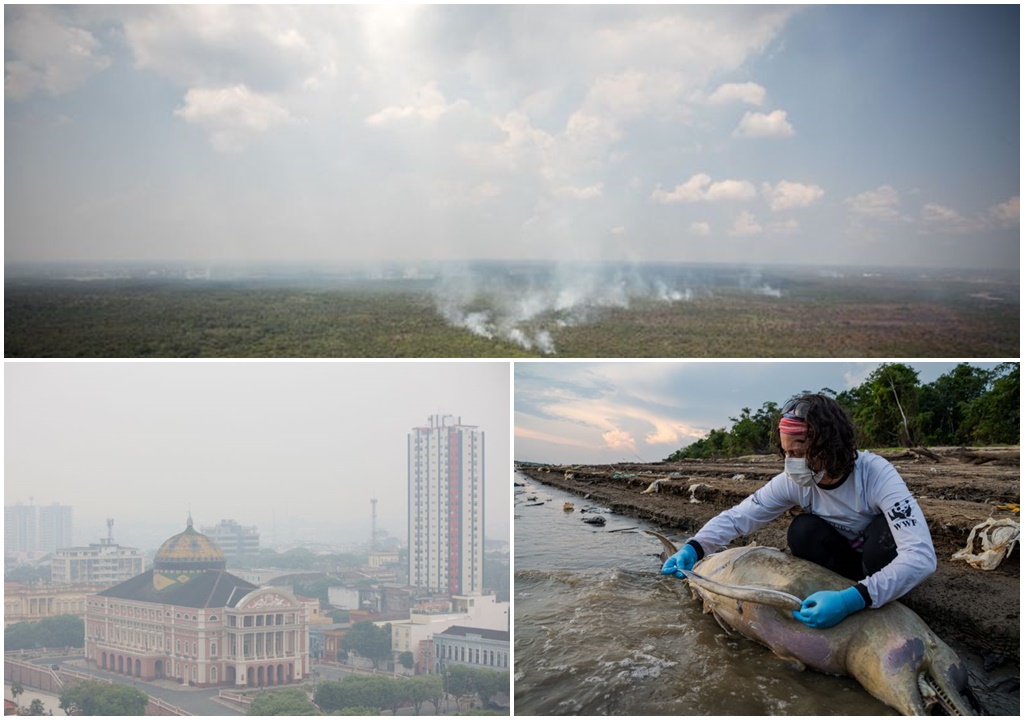 Amazônia queima e pede socorro: Cenas são chocantes; rios e igarapés secos e fumaça de queimada subindo pelo céu amazônico