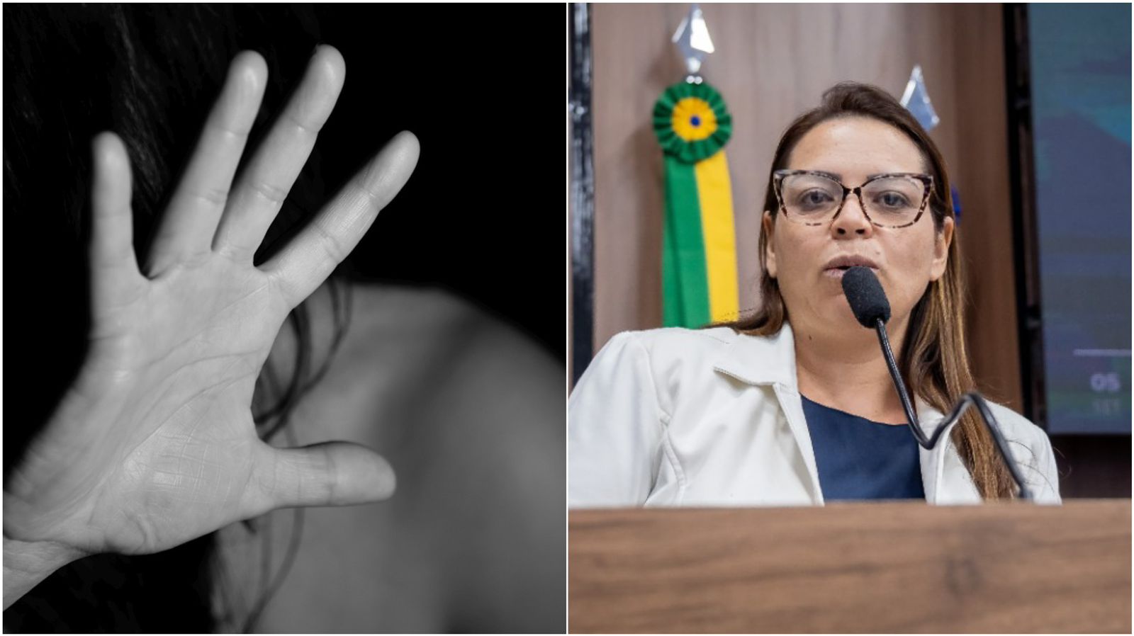 Vereadora Nadirgerlane cita aumento da violência contra a mulher na região e cobra do governo implantação da Patrulha Maria da Penha