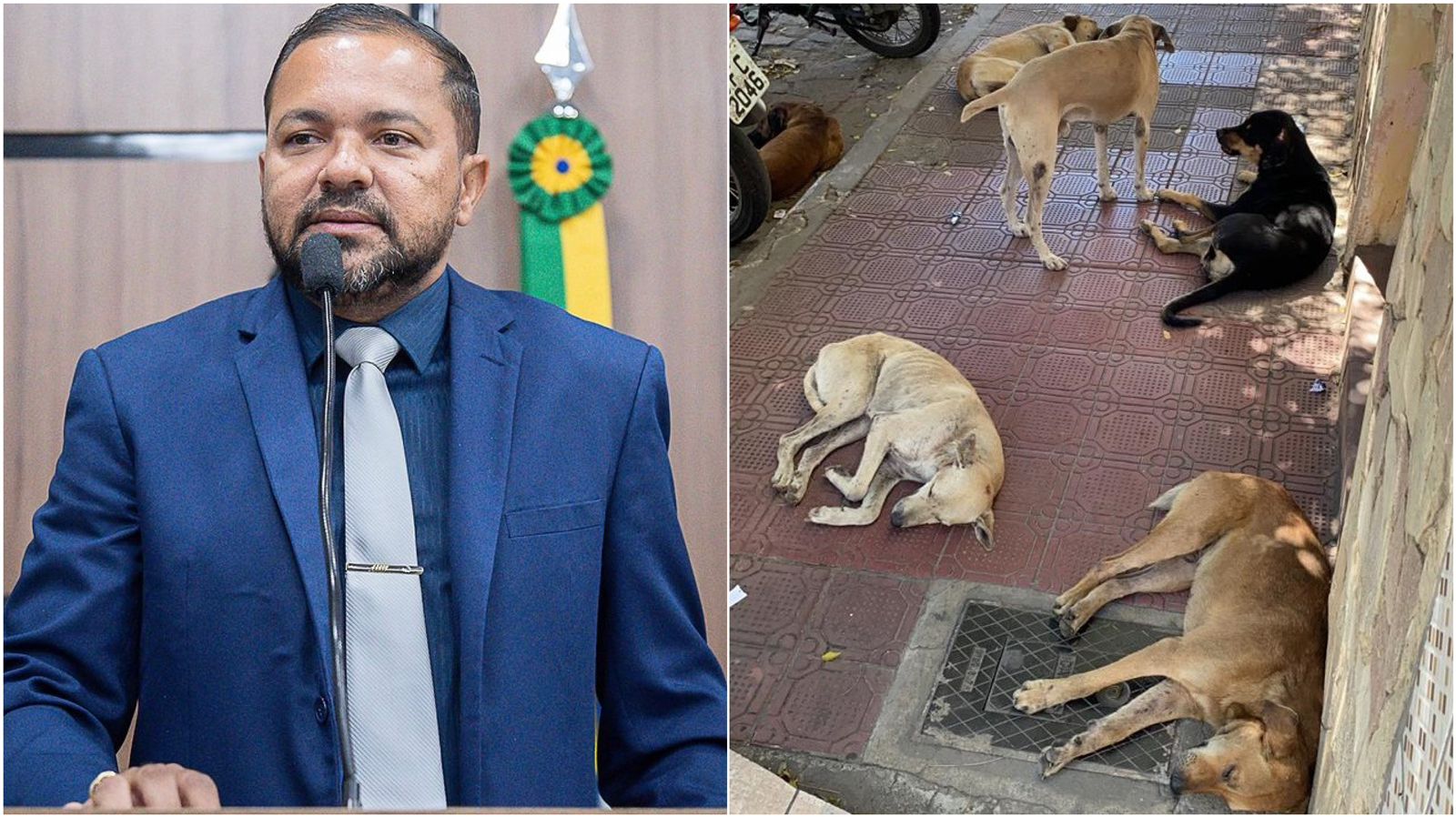 Ramon Pantera convoca vereadores a unirem-se em apoio à Castração Animal em Patos. Ouça