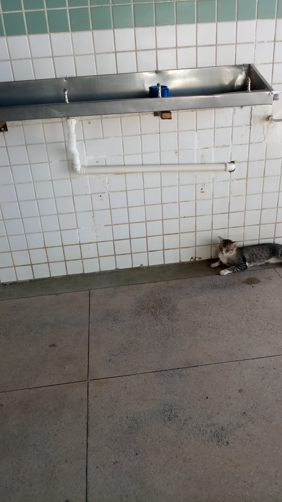 Alunos da Escola Normal, em Patos, reclamam da falta de água gelada nos bebedouros; 6ª gerência diz que vai apurar