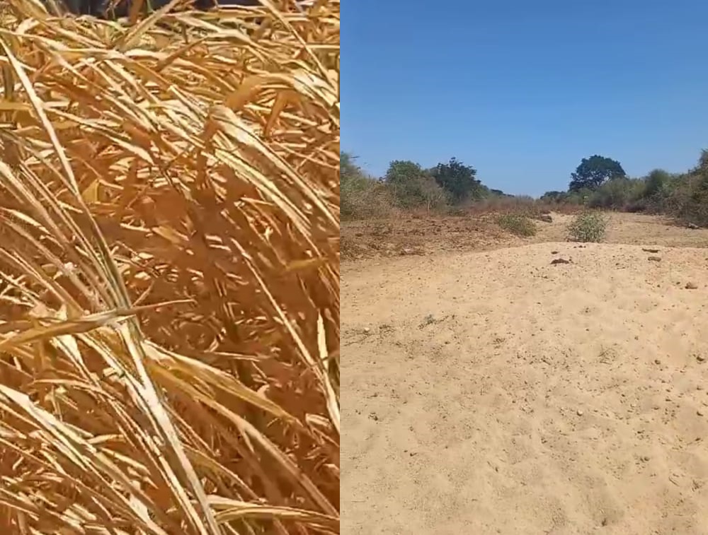 Agricultores de Patos e São José de Espinharas cobram liberação das águas da Barragem de Capoeira