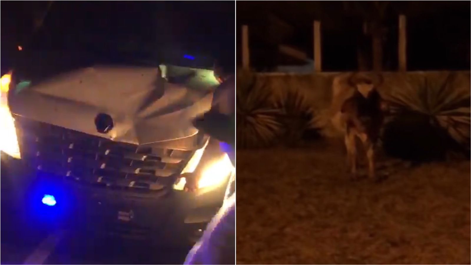 Ambulância da Prefeitura de Boa Ventura se envolve em acidente na PB-386 após colisão com animal