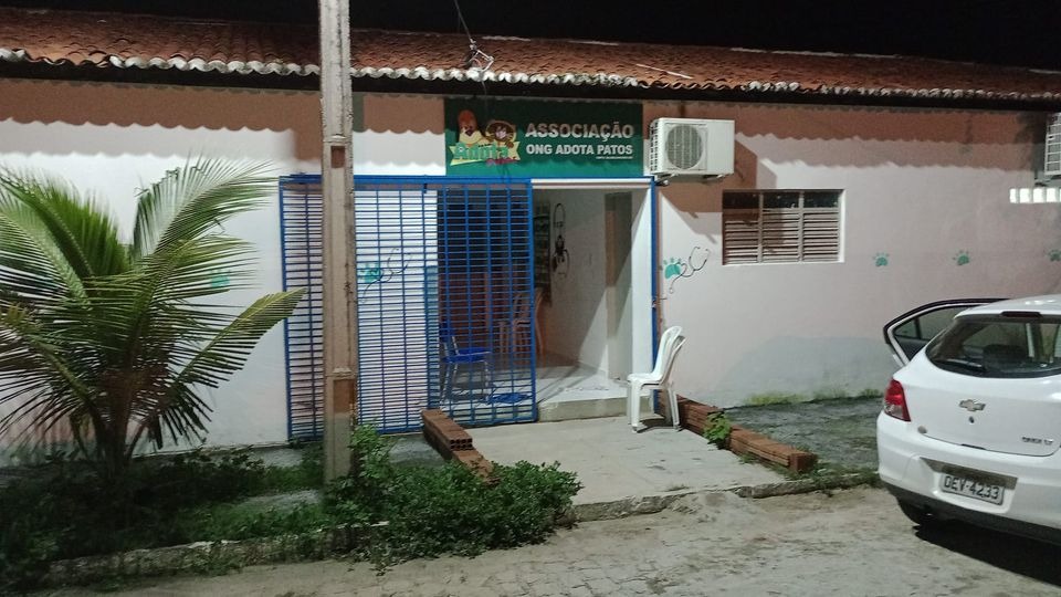 Rafael Gomes, Presidente da ONG Adota Patos, comenta possível criação da Secretaria Executiva da Causa Animal em Patos