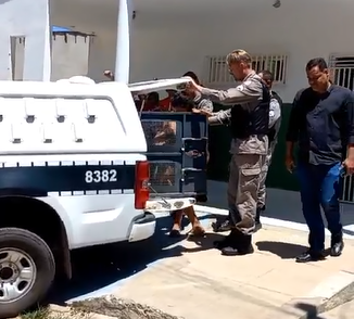 Crueldade em São José de Piranhas: Mulheres são presas suspeitas de espancar bebê de seis meses até a morte