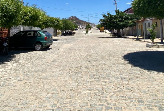 Pavimentação Asfáltica: Secretário de Meio Ambiente de Cacimba de Areia fala sobre retirada de árvores