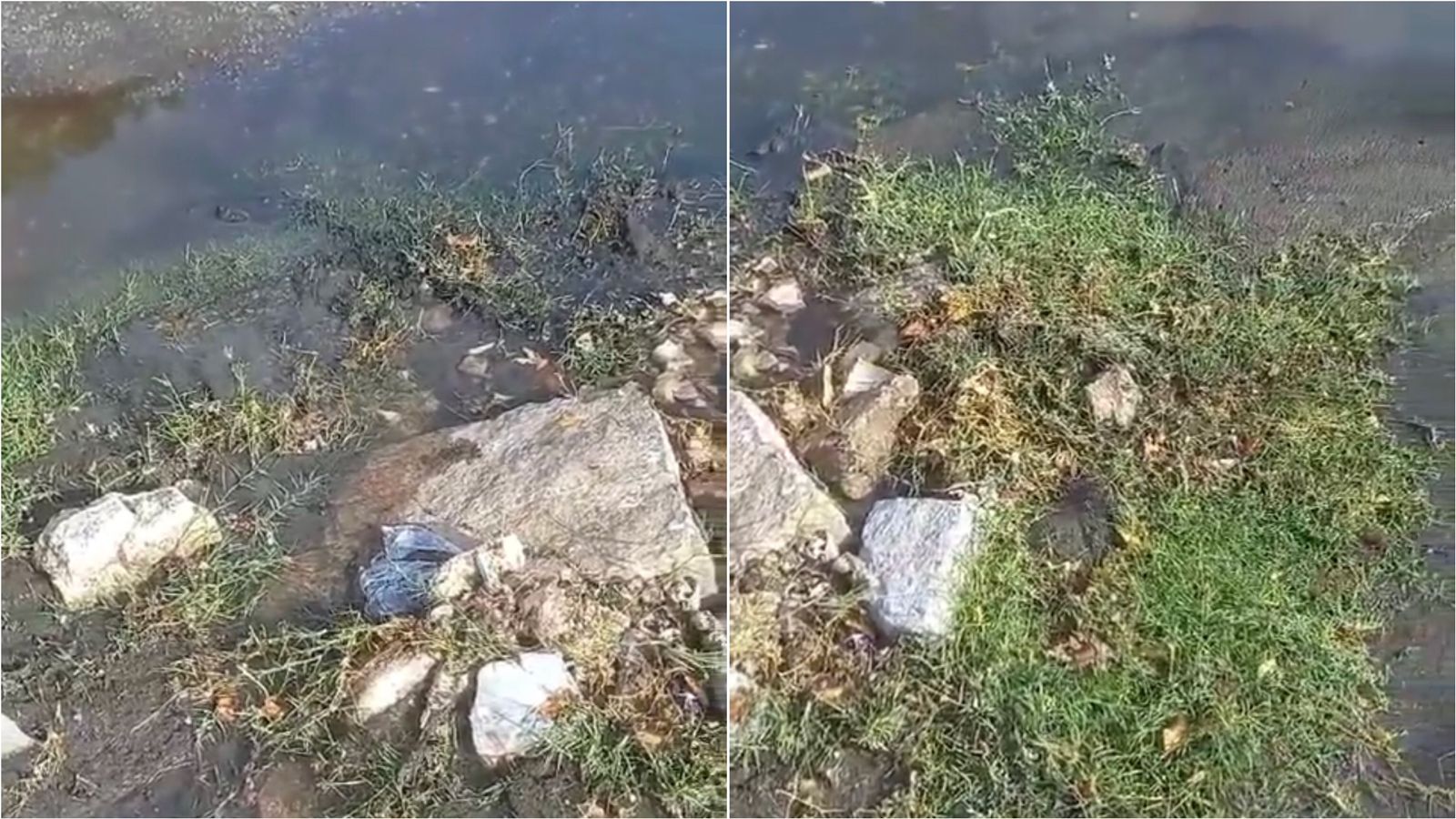 Moradora do bairro Santo Antônio cobra providências para galerias estouradas há cerca de 1 ano; prefeitura diz que buscará agilizar demanda