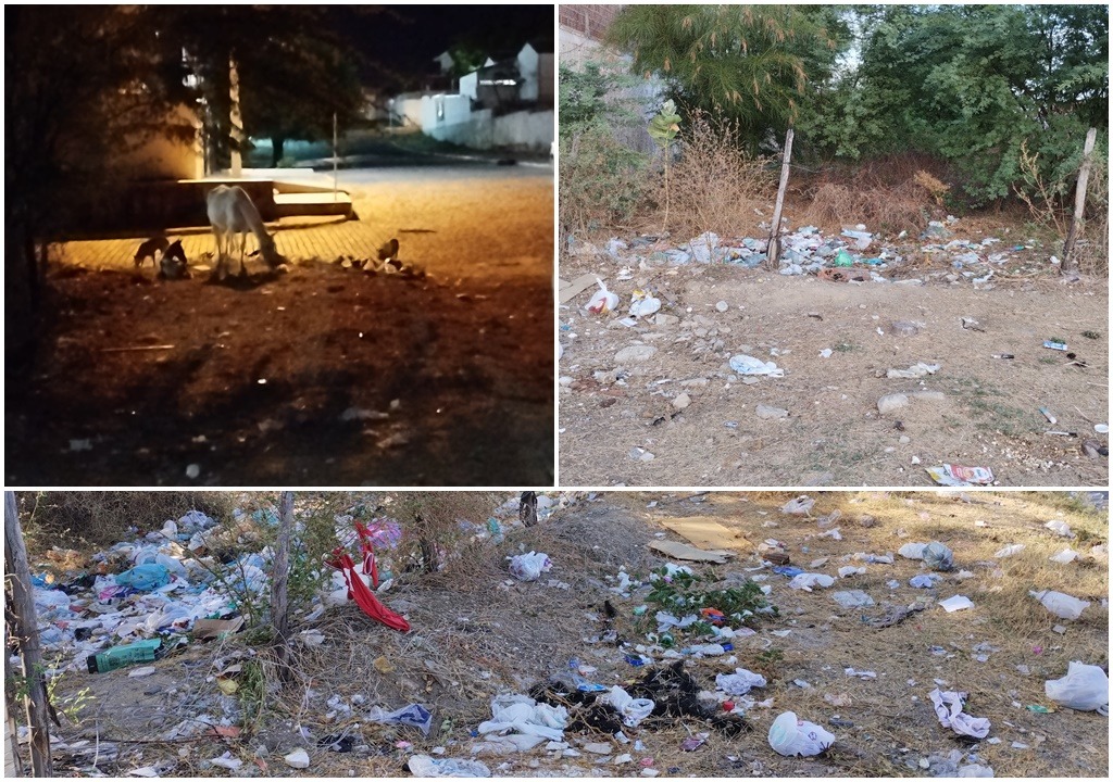 Morador pede colocação de Lixeira Pública em Bairro de Patos. “Estão jogando lixo na rua” 