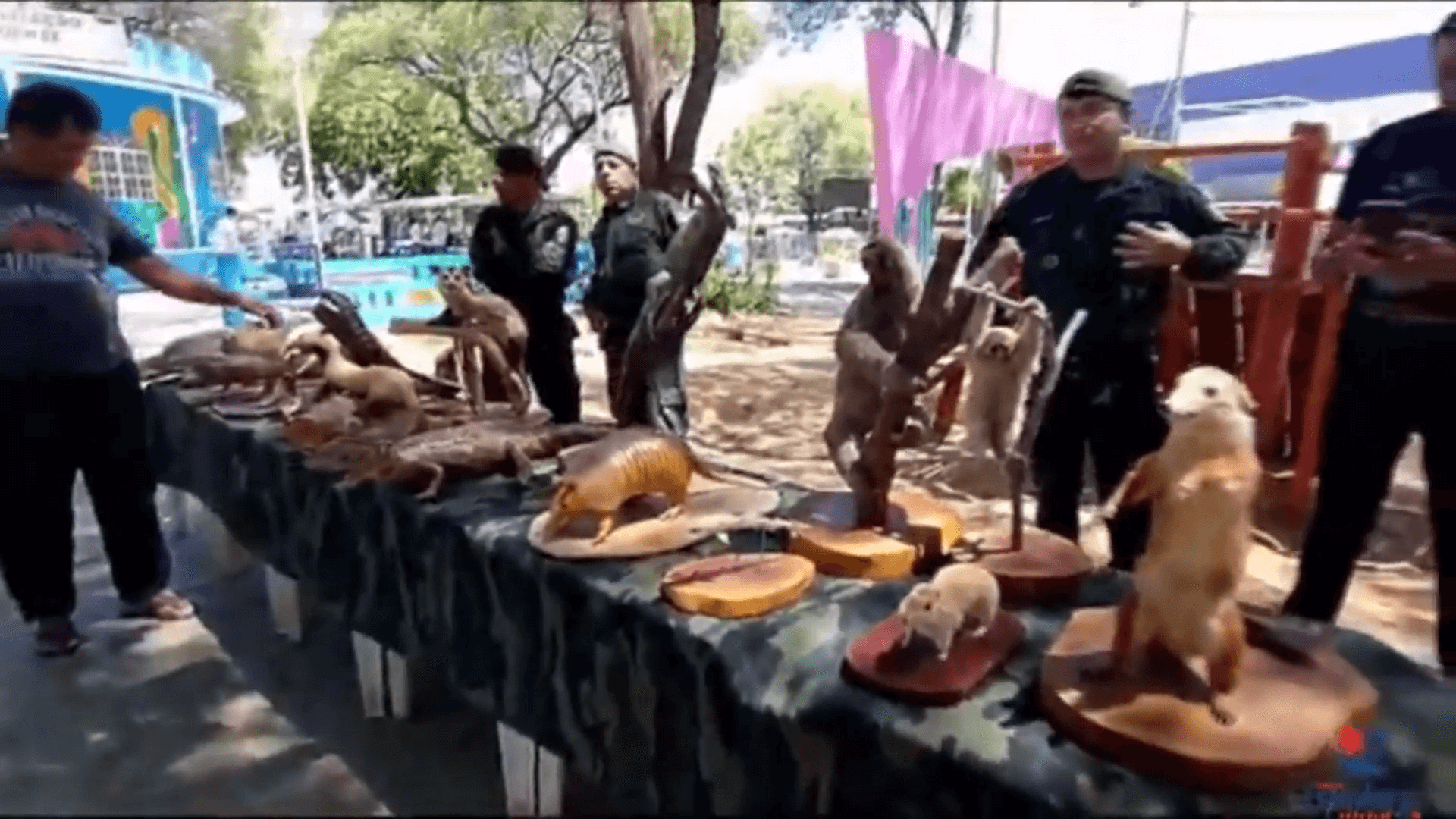Polícia Ambiental realiza exposição 