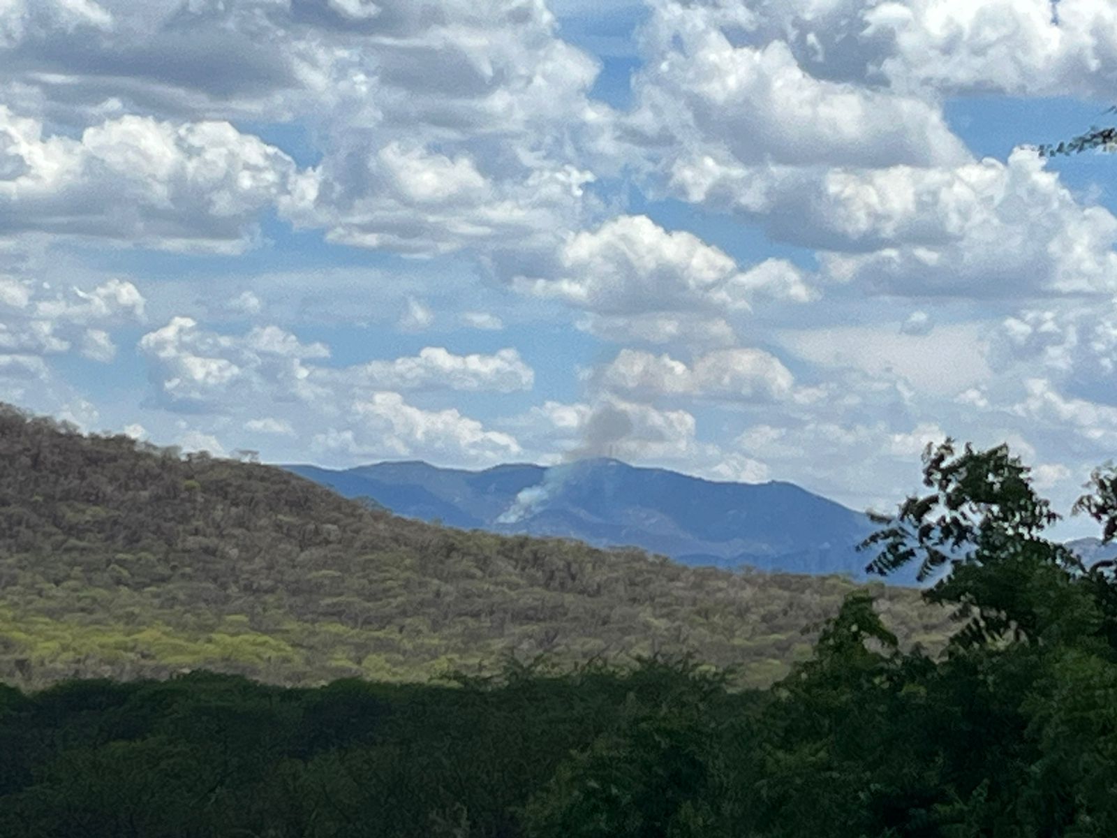 Imagem de incêndio na vegetação, tendo Pico do Jabre ao fundo, assusta; autoridades tranquilizam que fogo é distante