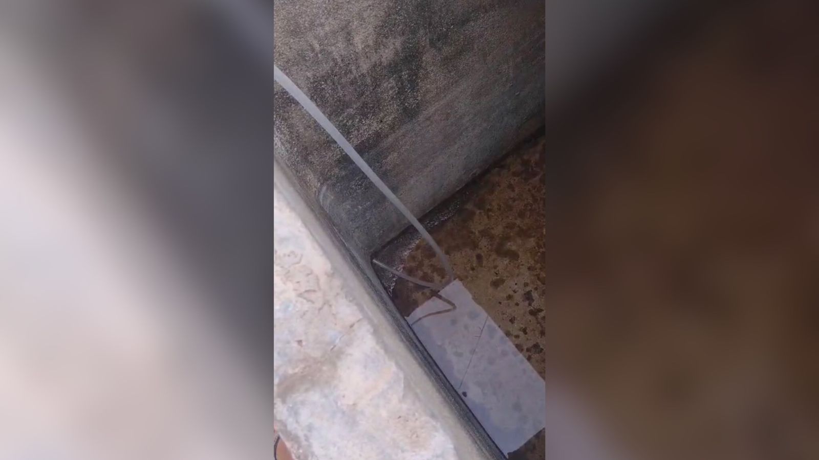 Moradora do distrito de Café do Vento, em Passagem, volta a denunciar falta de água na localidade; Cagepa se pronuncia