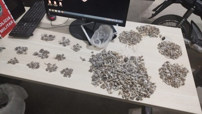 Dupla suspeita de vários crimes em Uiraúna é presa na zona rural com mais de mil papelotes de maconha