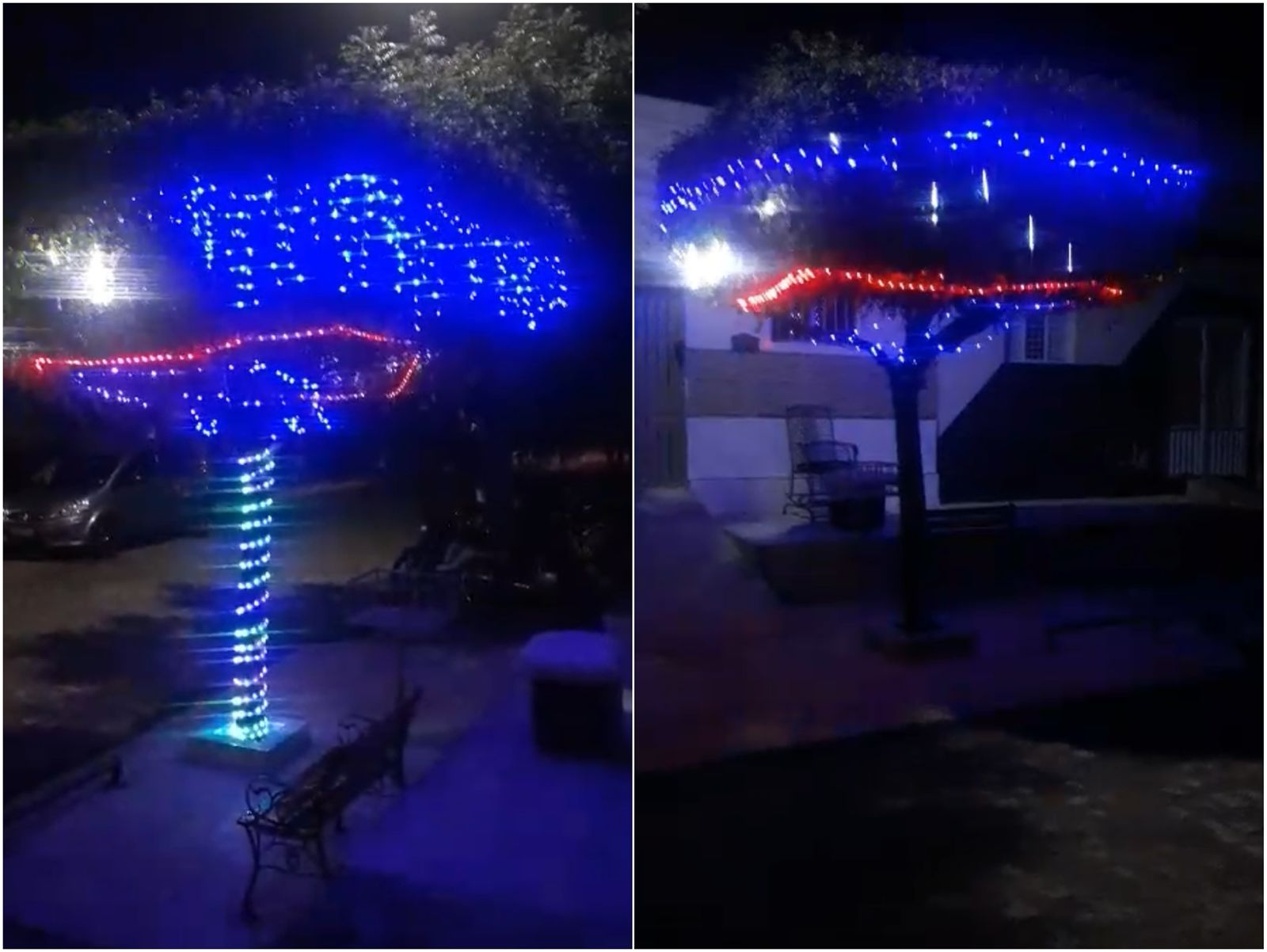 Morador prepara sua própria Árvore de Natal externa no Bairro Monte Castelo, em Patos