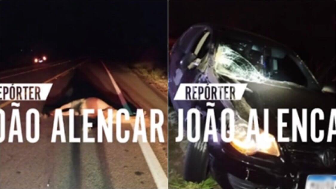 Colisão entre carro e animal é registrada na noite desta segunda-feira (11) na BR-230, em Condado-PB