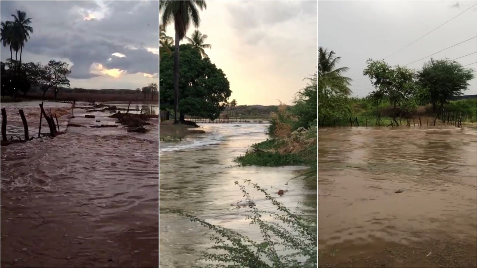Rio Piancó desce em cheia após forte chuva na tarde desta terça-feira (19) na região de Conceição; veja vídeos