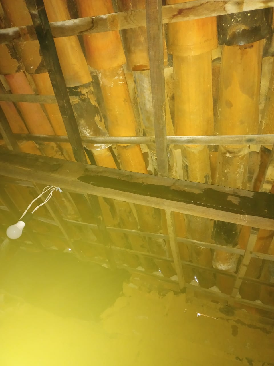 Família que vive em casa de taipa em situação precária clama por ajuda em Santa Terezinha; veja imagens