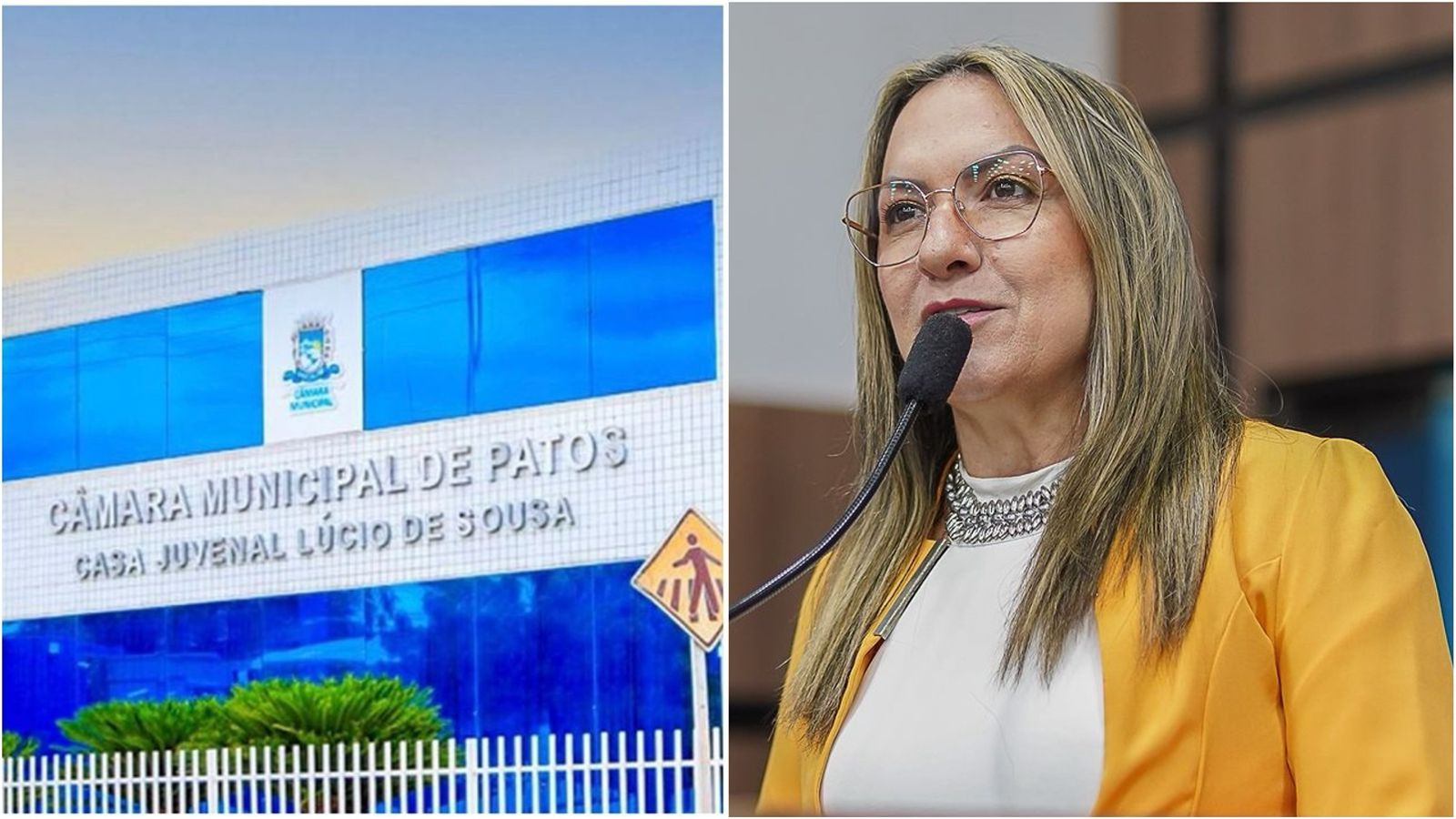 Tide Eduardo, Presidente da Câmara de Vereadores de Patos, faz balanço do ano legislativo de 2023. Ouça