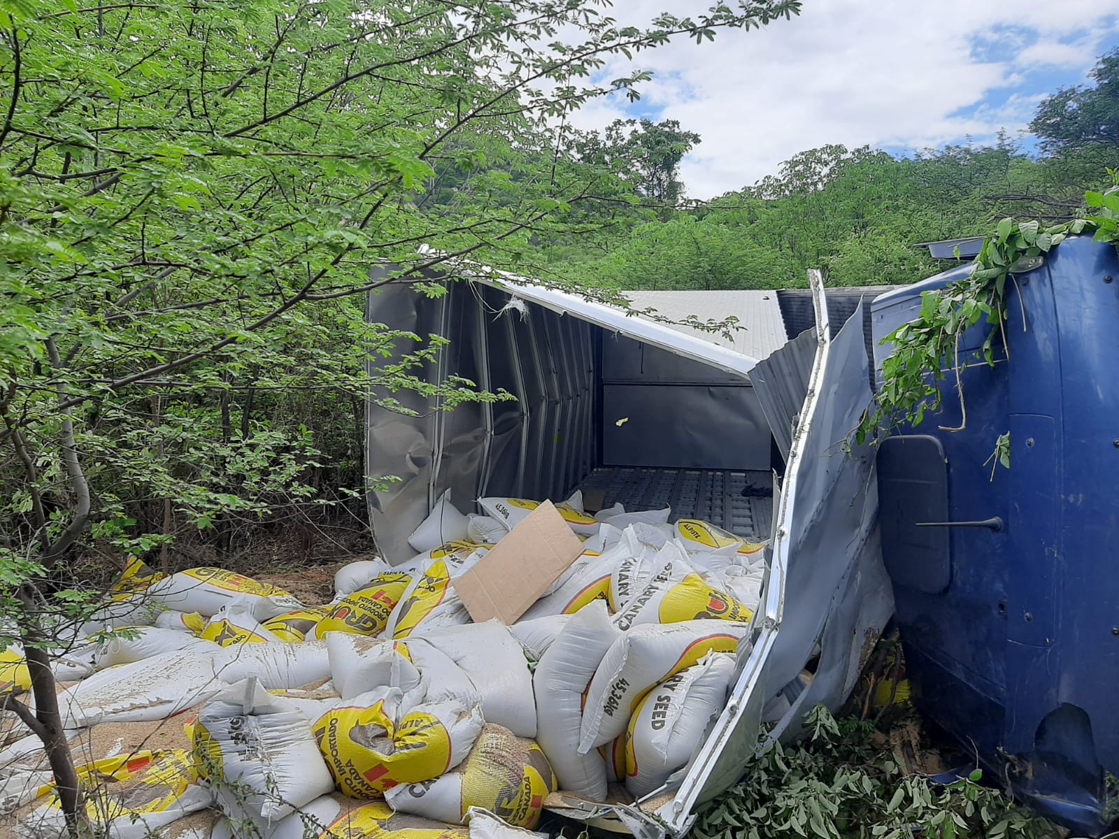 Colisão envolvendo carro e caminhão é registrada na manhã deste sábado (13), na Serra do Teixeira