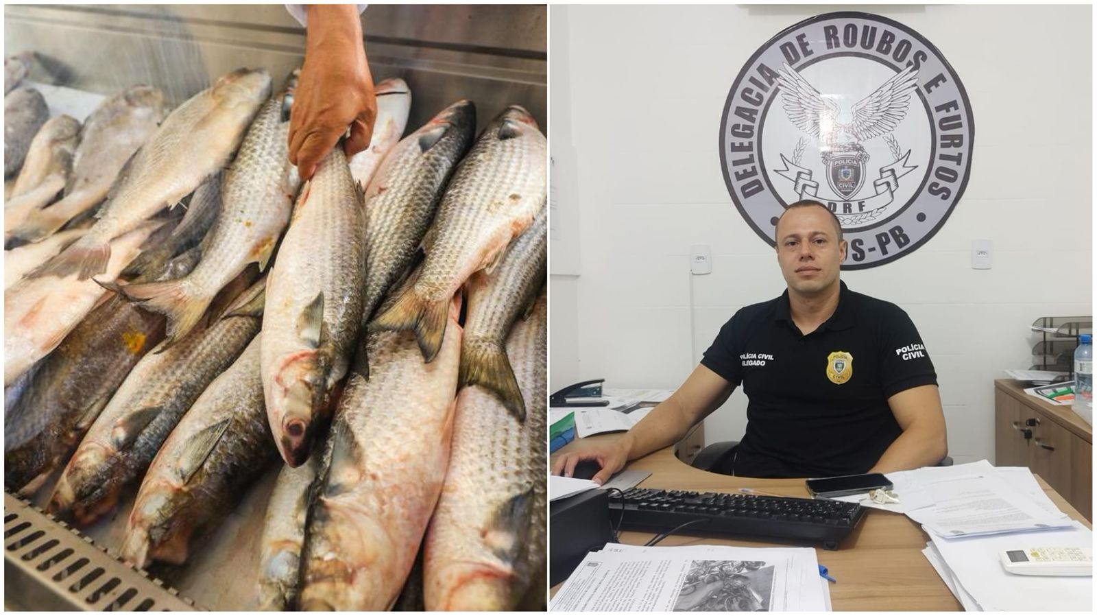 Em Patos, homem é detido após tentar enganar vendedor de peixe, termina espancado por populares e caso vai parar na Delegacia; delegado comenta