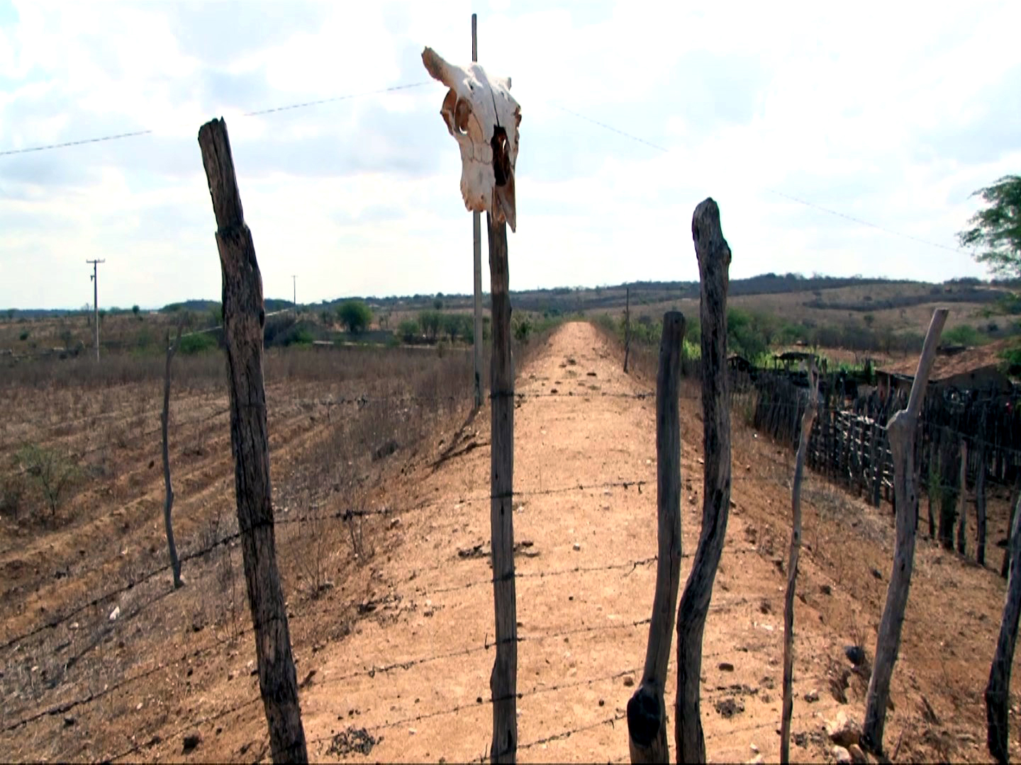 Defesa Civil Nacional declara situação de emergência em mais cinco cidades paraibanas devido à estiagem