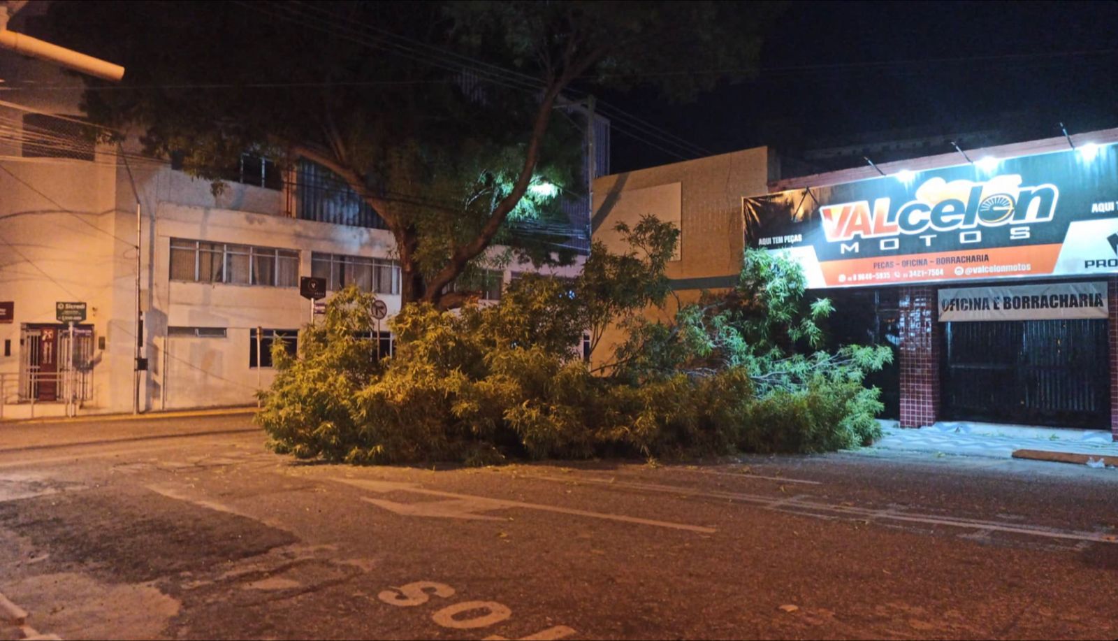 Parte de árvore cai em via pública no Centro de Patos na noite desta sexta-feira (19)