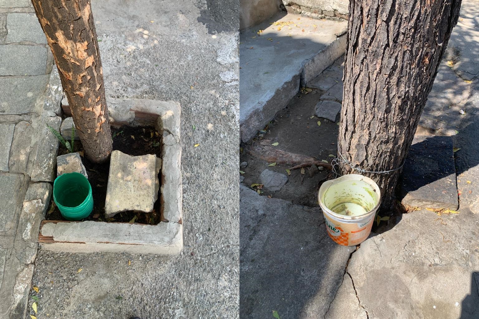 Em Patos: depósitos de água para animais estão servindo de ambientes de reprodução para o Aedes Aegypti, relata agente de endemias