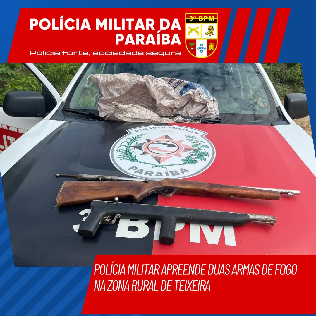 Polícia Militar apreende duas armas de fogo na zona rural de Teixeira