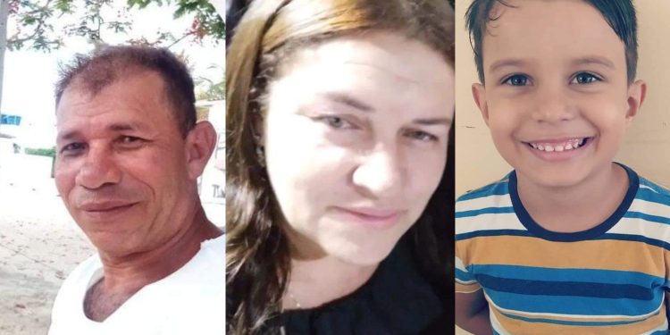 Tragédia na Paraíba: família morre após se envolver em acidente e sofrer ataque de enxame de abelhas