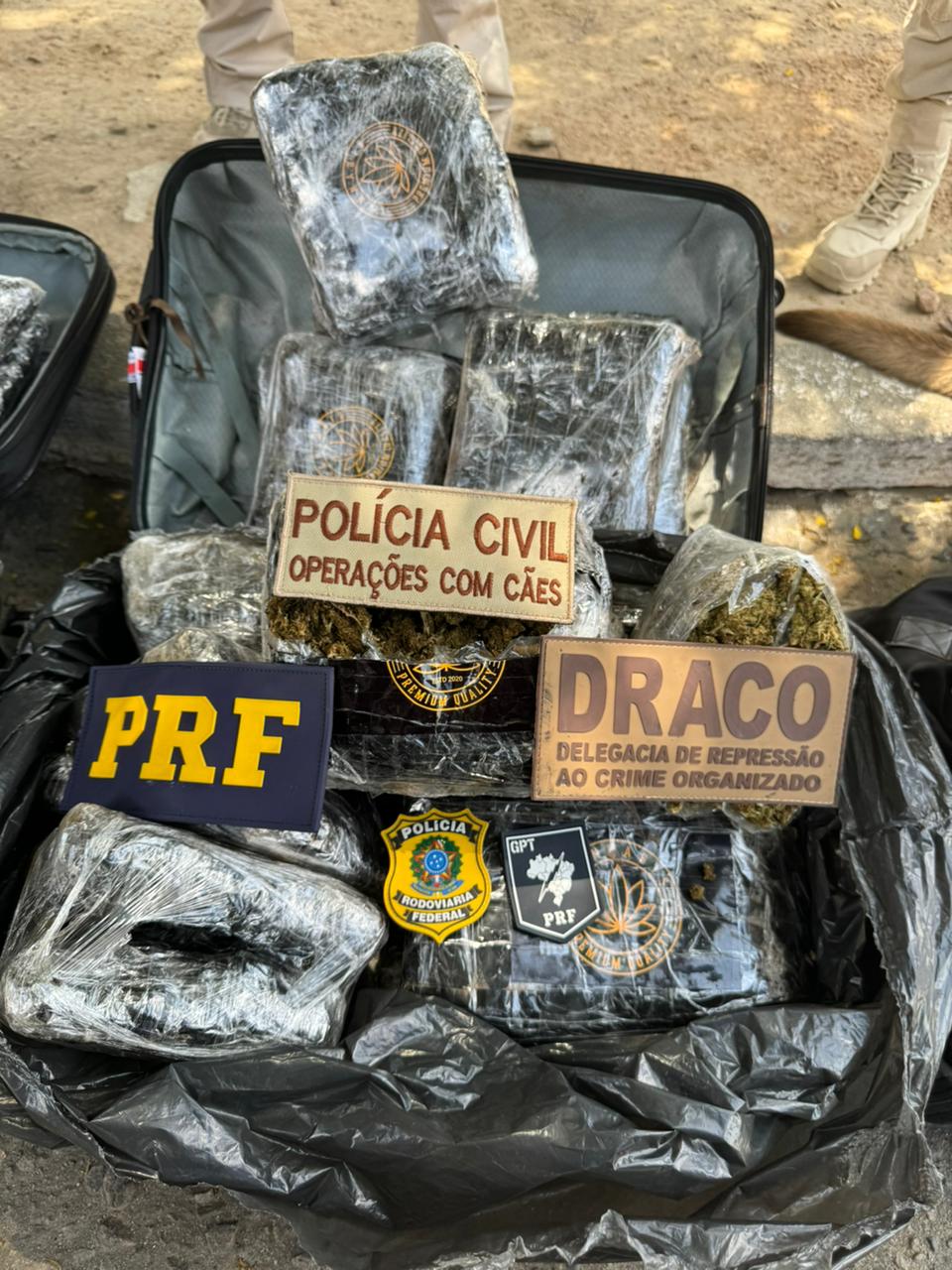 Ação conjunta entre PRF e DRACO apreende 20 kg de supermaconha avaliada em mais de meio milhão de reais, na Paraíba