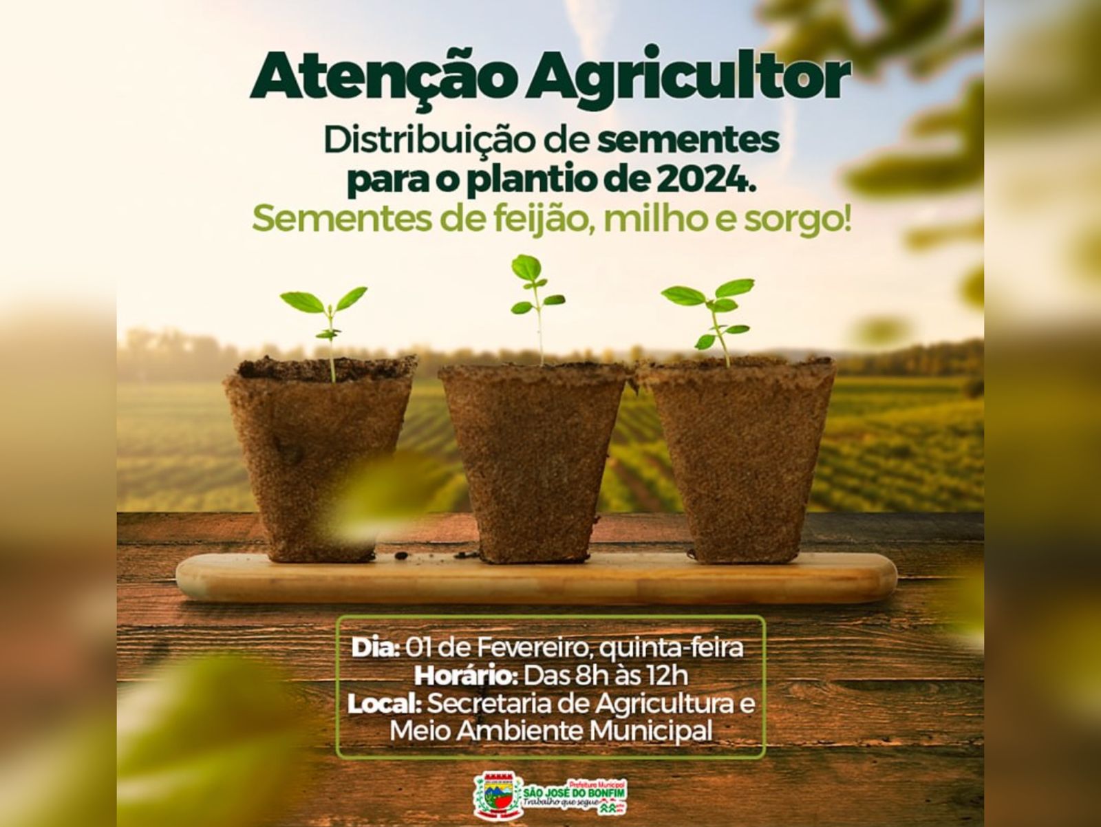 São José do Bonfim anuncia distribuição de sementes, incentivando a agricultura local