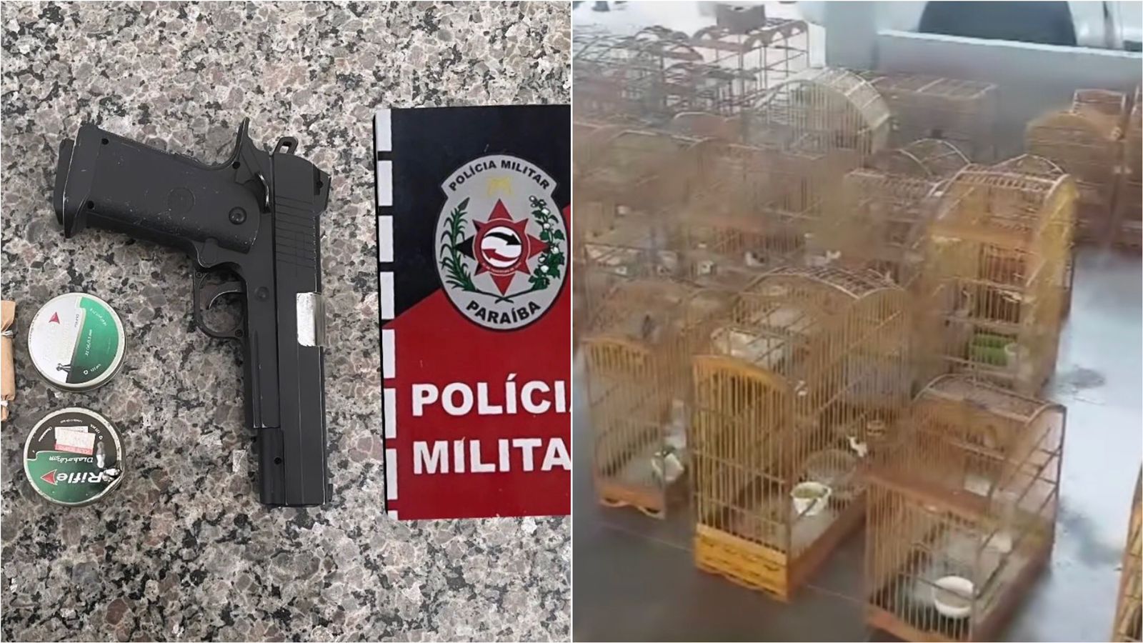Polícia Militar prende homem em flagrante por crime ambiental em Piancó e apreende 37 aves e 53 gaiolas