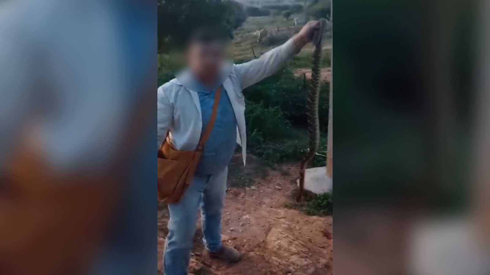 Vídeo em que agricultor diz que matou cobra cascavel a dentadas após ter sido picado, em Igaracy, viraliza ; confira