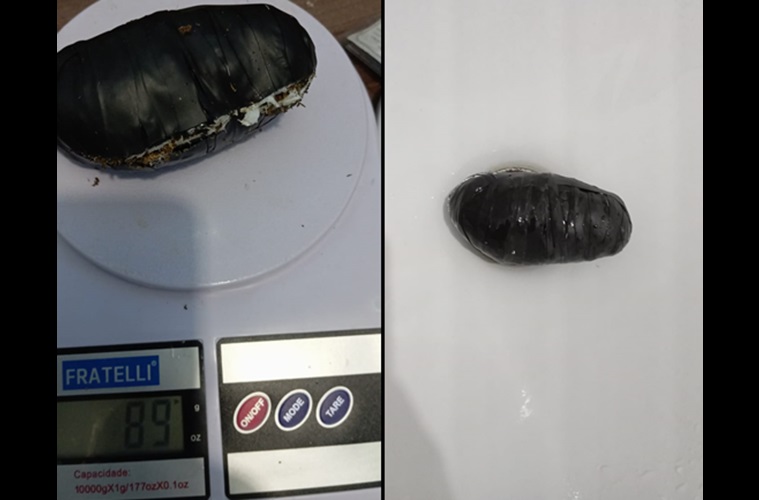 Mulher é presa ao tentar entrar no Presídio de Cajazeiras com droga no ânus durante visita íntima; esse foi o 5º caso apenas em 2024