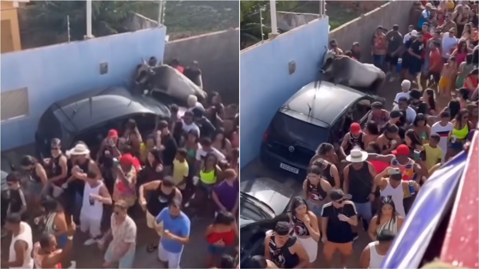 Touro invade folia de rua e causa pânico durante carnaval no Rio Grande do Norte; veja vídeo