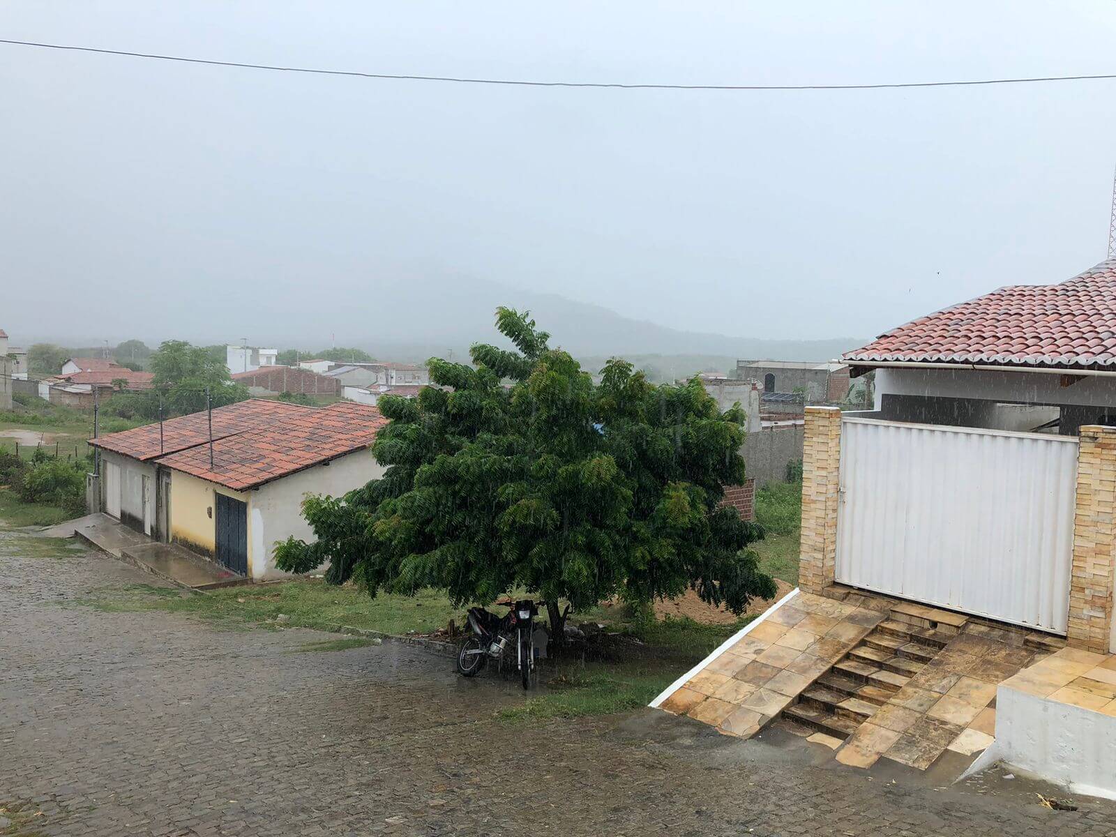 Timidamente, chuvas retornam e contemplam os municípios do regional de Patos; confira os índices das últimas 24h