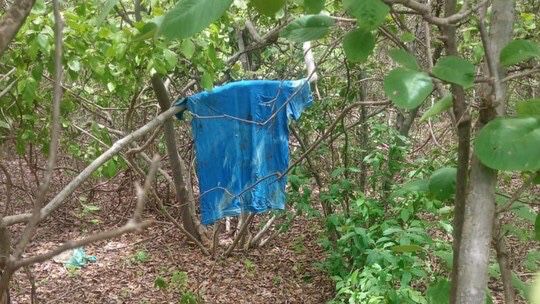 Força-tarefa encontra camiseta de presidiário em buscas por fugitivos de Mossoró; confira