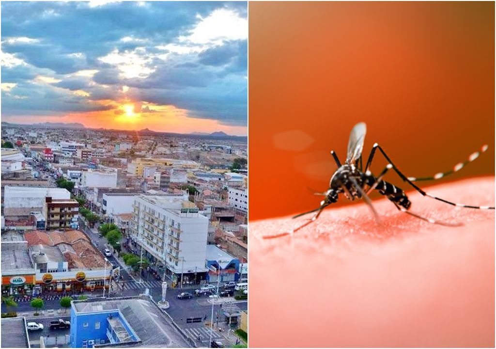 Coordenador de Vigilância Ambiental fala sobre a situação da dengue na cidade de Patos de acordo com o último LIRA realizado