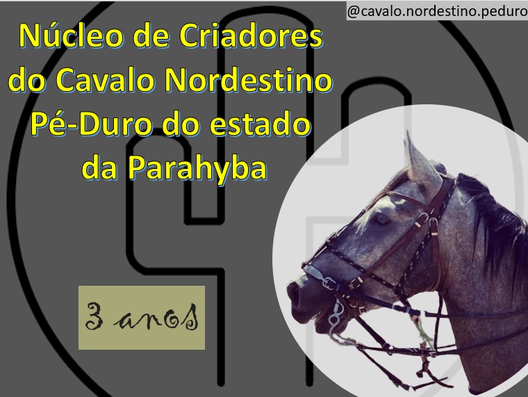 Núcleo de Criadores do Cavalo Nordestino Pé-duro da Parahyba comemora três anos de atuação