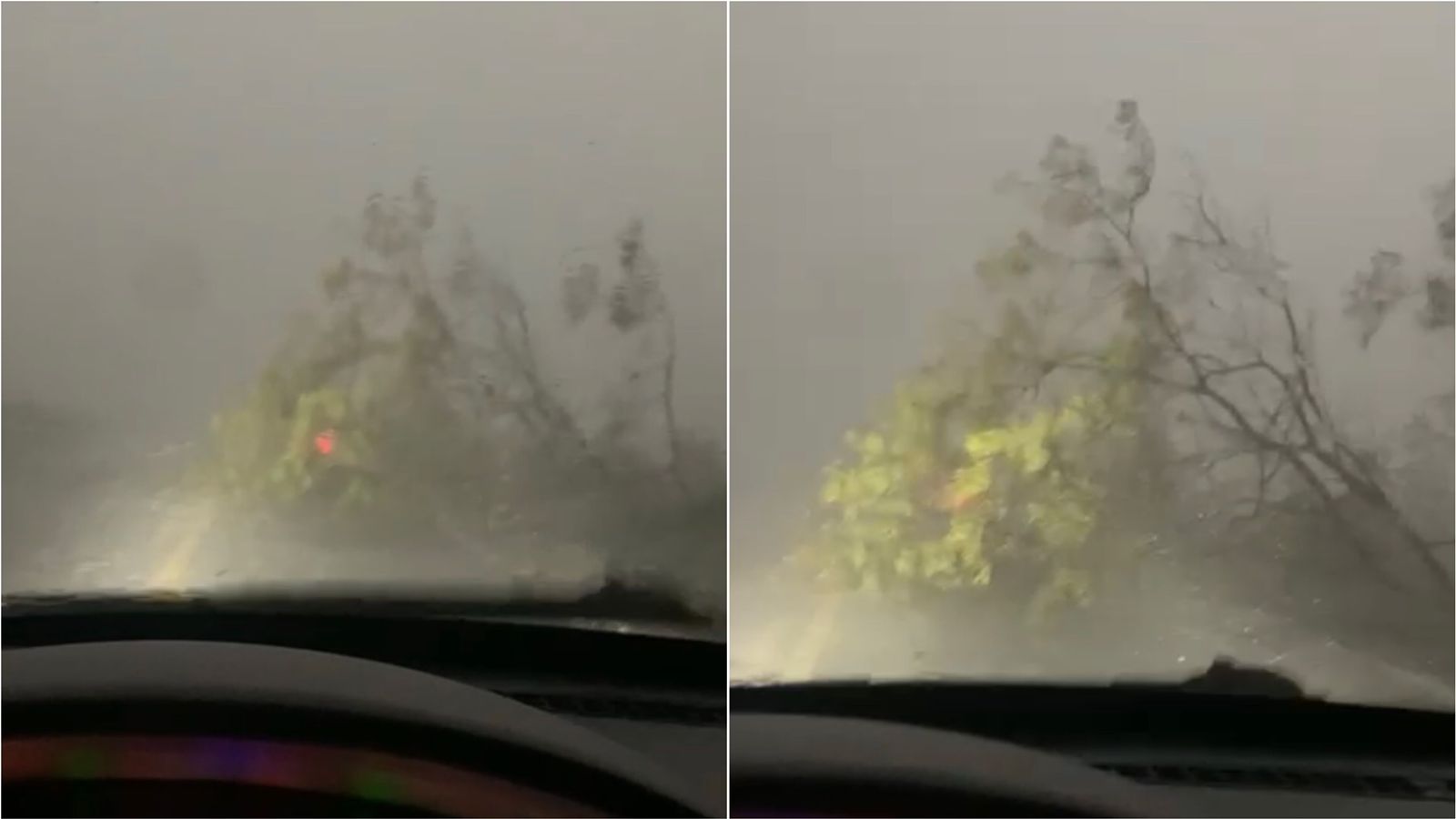 Árvore cai na BR-361, entre Santa Terezinha e Patos, após forte chuva; PRF diz que trecho já foi liberado