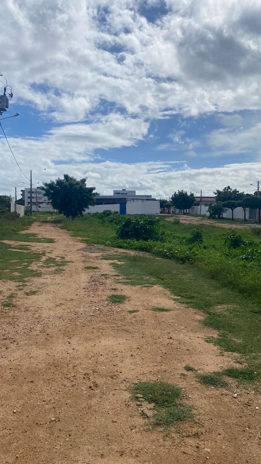 Moradora do Bairro do Salgadinho relata preocupação com falta de limpeza em canal e risco de animais peçonhentos; Prefeitura diz que serviços estão no cronograma