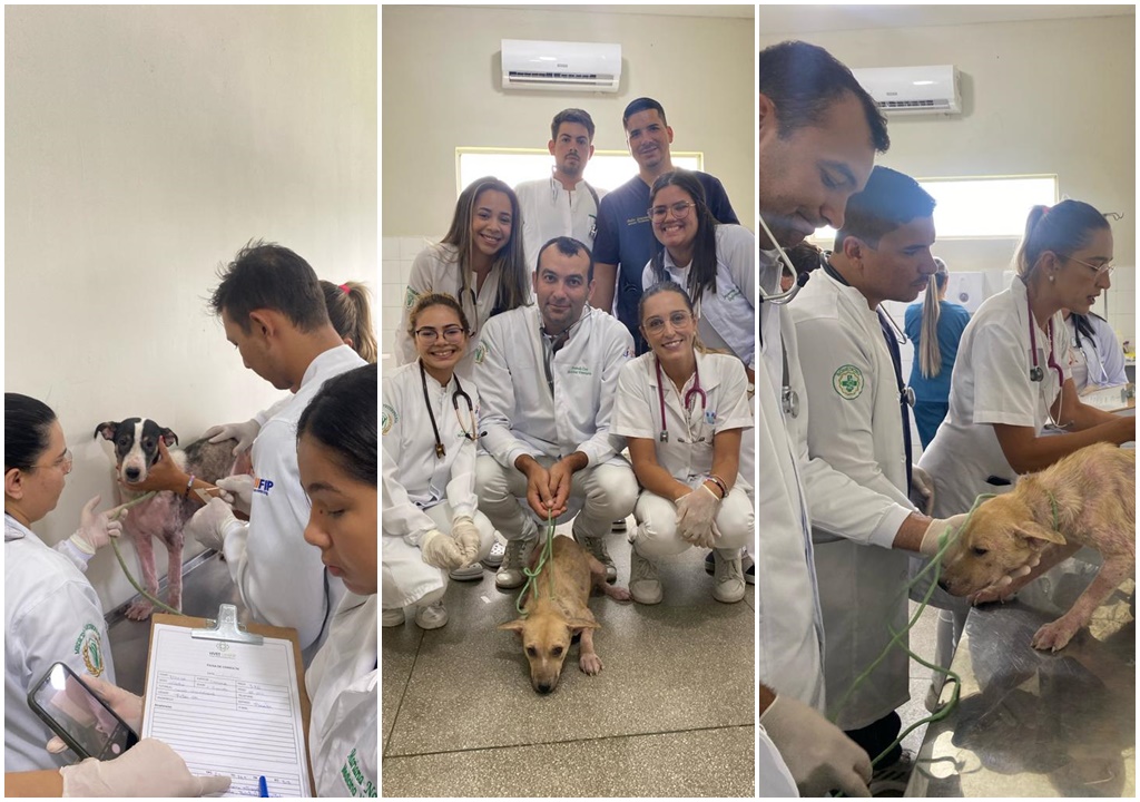 Prefeitura de Patos e UNIFIP unem esforços em aula prática de medicina veterinária